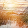 Xxl Wandbild Duenen Und Meer Hochformat Zoom