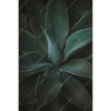 Xxl Wandbild Dunkles Agavenblatt Hochformat Motivvorschau