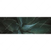 Xxl Wandbild Dunkles Agavenblatt Panorama Motivvorschau