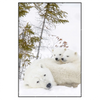 Xxl Wandbild Eisbaerenfamilie In Winterlicher Landschaft Hochformat Produktvorschau Frontal