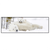 Xxl Wandbild Eisbaerenfamilie In Winterlicher Landschaft Panorama Produktvorschau Frontal