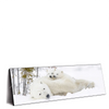 Xxl Wandbild Eisbaerenfamilie In Winterlicher Landschaft Panorama Produktvorschau Seitlich
