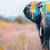 Xxl Wandbild Elefant Farben Der Wildnis Quadrat Zoom