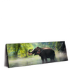 Xxl Wandbild Elefant Im Wasser Panorama Produktvorschau Seitlich
