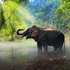 Xxl Wandbild Elefant Im Wasser Quadrat Motivvorschau