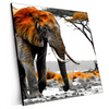 Xxl Wandbild Elefant Kraft Der Wildnis Quadrat Produktvorschau Seitlich