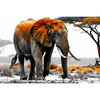 Xxl Wandbild Elefant Kraft Der Wildnis Querformat Motivvorschau