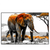 Xxl Wandbild Elefant Kraft Der Wildnis Querformat Produktvorschau Frontal