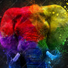 Xxl Wandbild Elefant Pop Art No 2 Quadrat Motivvorschau