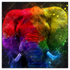 Xxl Wandbild Elefant Pop Art No 2 Quadrat Produktvorschau Frontal