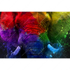Xxl Wandbild Elefant Pop Art No 2 Querformat Motivvorschau
