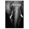 Xxl Wandbild Elefant Schwarzweiss Hochformat Produktvorschau Frontal