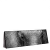 Xxl Wandbild Elefant Schwarzweiss Panorama Produktvorschau Seitlich