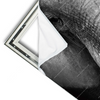 Xxl Wandbild Elefant Schwarzweiss Querformat Materialvorschau