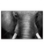 Xxl Wandbild Elefant Schwarzweiss Querformat Produktvorschau Frontal
