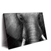 Xxl Wandbild Elefant Schwarzweiss Querformat Produktvorschau Seitlich