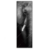 Xxl Wandbild Elefant Schwarzweiss Schmal Produktvorschau Frontal