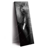 Xxl Wandbild Elefant Schwarzweiss Schmal Produktvorschau Seitlich