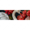 Xxl Wandbild Eleganter Schwan Mit Blumen Panorama Motivvorschau