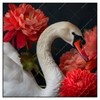 Xxl Wandbild Eleganter Schwan Mit Blumen Quadrat Produktvorschau Frontal