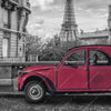Xxl Wandbild Ente In Paris Hochformat Zoom