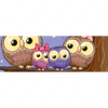 Xxl Wandbild Eulenfamilie Panorama Motivvorschau