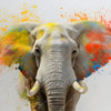 Xxl Wandbild Farbenexplosion Mit Elefant Quadrat Motivvorschau