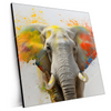 Xxl Wandbild Farbenexplosion Mit Elefant Quadrat Produktvorschau Seitlich