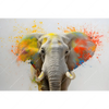 Xxl Wandbild Farbenexplosion Mit Elefant Querformat Motivvorschau