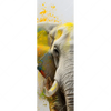 Xxl Wandbild Farbenexplosion Mit Elefant Schmal Motivvorschau