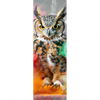 Xxl Wandbild Farbenexplosion Mit Eule Schmal Motivvorschau