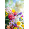 Xxl Wandbild Farbenfrohe Fruehlingsblueten Hochformat Motivvorschau