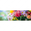 Xxl Wandbild Farbenfrohe Fruehlingsblueten Panorama Motivvorschau