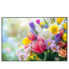Xxl Wandbild Farbenfrohe Fruehlingsblueten Querformat Produktvorschau Frontal