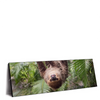Xxl Wandbild Faultier Streckt Zunge Raus Panorama Produktvorschau Seitlich