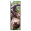 Xxl Wandbild Faultier Streckt Zunge Raus Schmal Produktvorschau Frontal