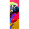 Xxl Wandbild Federn Papagei Schmal Motivvorschau