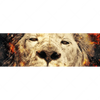 Xxl Wandbild Feuer Loewe Panorama Motivvorschau