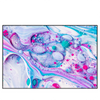 Xxl Wandbild Fluid Art Bubbless Aquamarin Querformat Produktvorschau Frontal