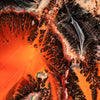 Xxl Wandbild Fluid Art Lavastrom Quadrat Motivvorschau