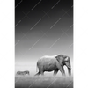 Xxl Wandbild Freundschaft Hochformat Motivvorschau