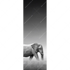 Xxl Wandbild Freundschaft Schmal Motivvorschau