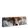 Xxl Wandbild Friedlicher Fuchs Und Blumen Panorama Produktvorschau Seitlich