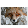 Xxl Wandbild Friedlicher Fuchs Und Blumen Querformat Produktvorschau Frontal