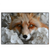 Xxl Wandbild Friedlicher Fuchs Und Blumen Querformat Produktvorschau Frontal
