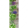 Xxl Wandbild Frische Kraeuter An Holzstange Schmal Motivvorschau