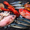 Xxl Wandbild Frischer Fisch Und Meeresfruechte Quadrat Motivvorschau