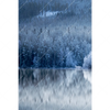 Xxl Wandbild Frostiger Wald Hochformat Motivvorschau
