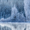 Xxl Wandbild Frostiger Wald Hochformat Zoom