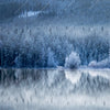 Xxl Wandbild Frostiger Wald Quadrat Motivvorschau